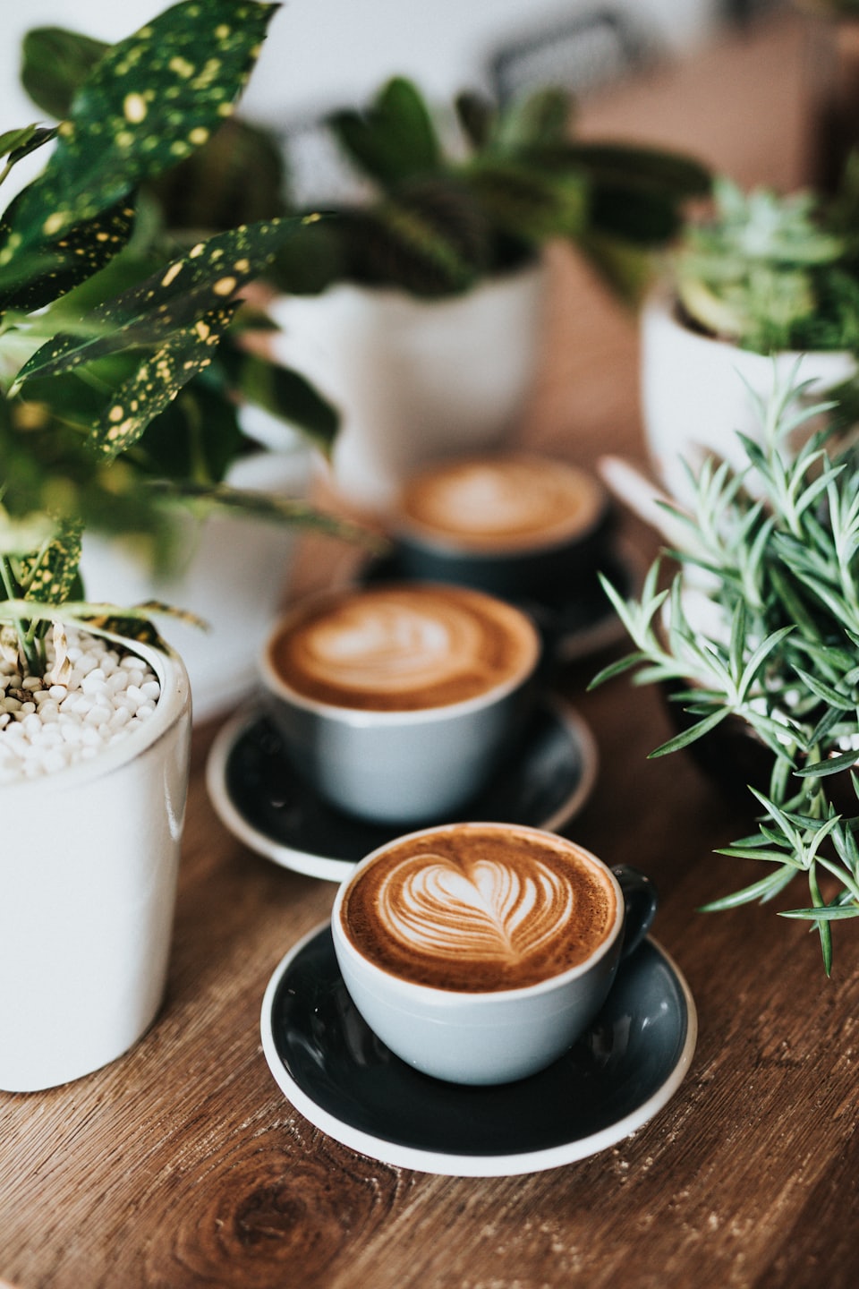 Pour Over Café inside Caan's Floral & Greenhouses